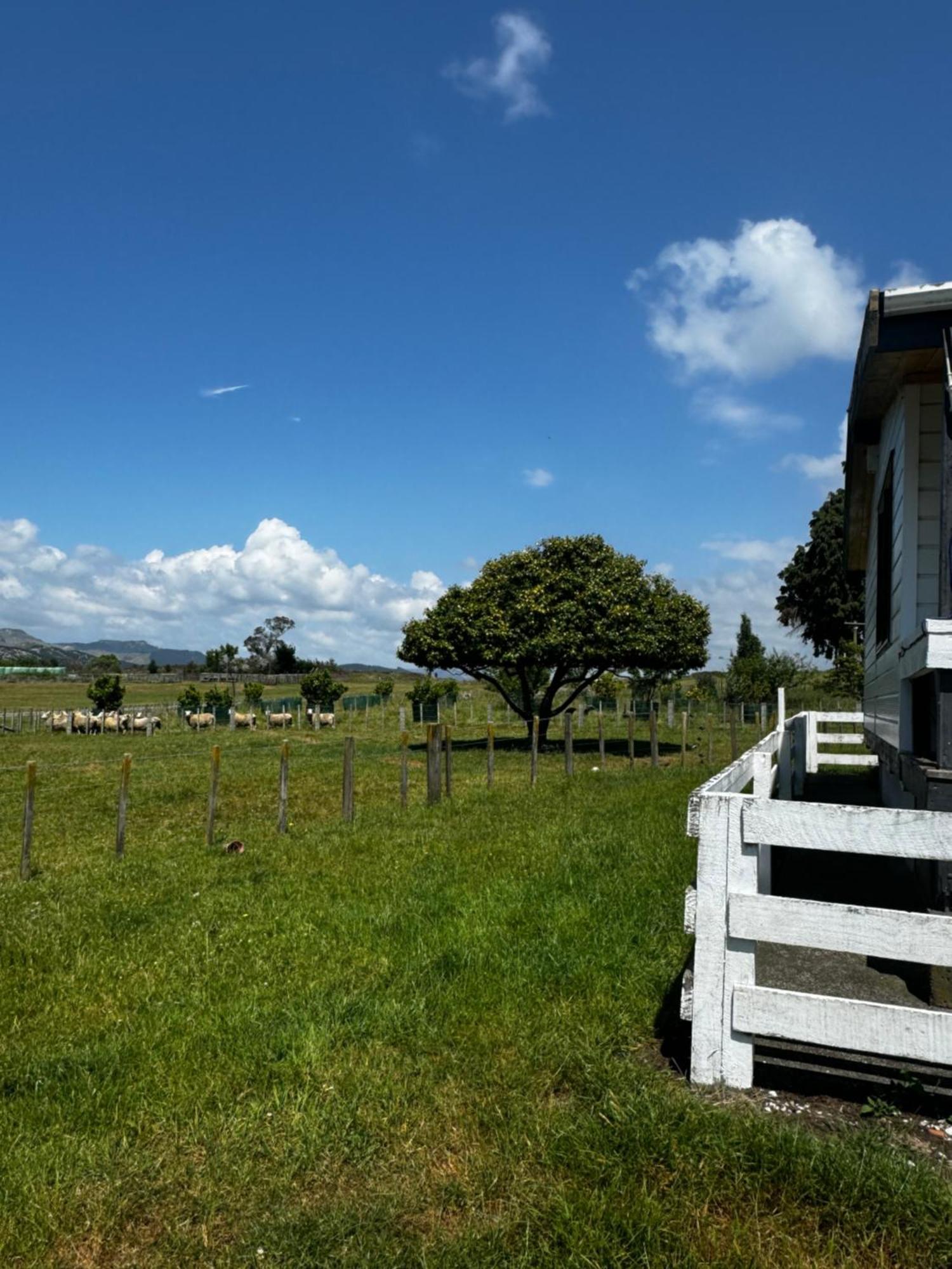 Lockwood Country House Retreat Putorino Exterior photo